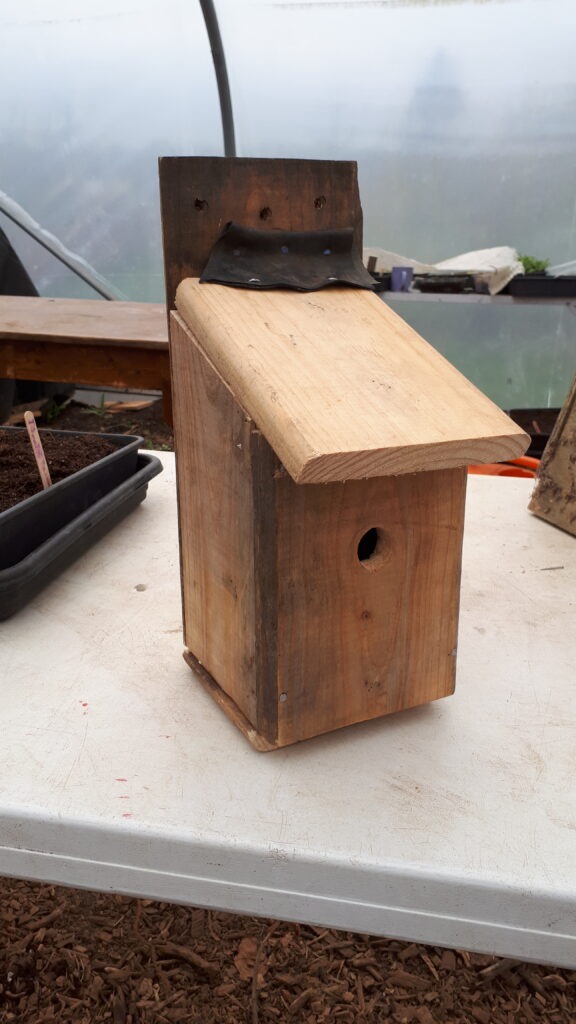 Wooden bird house