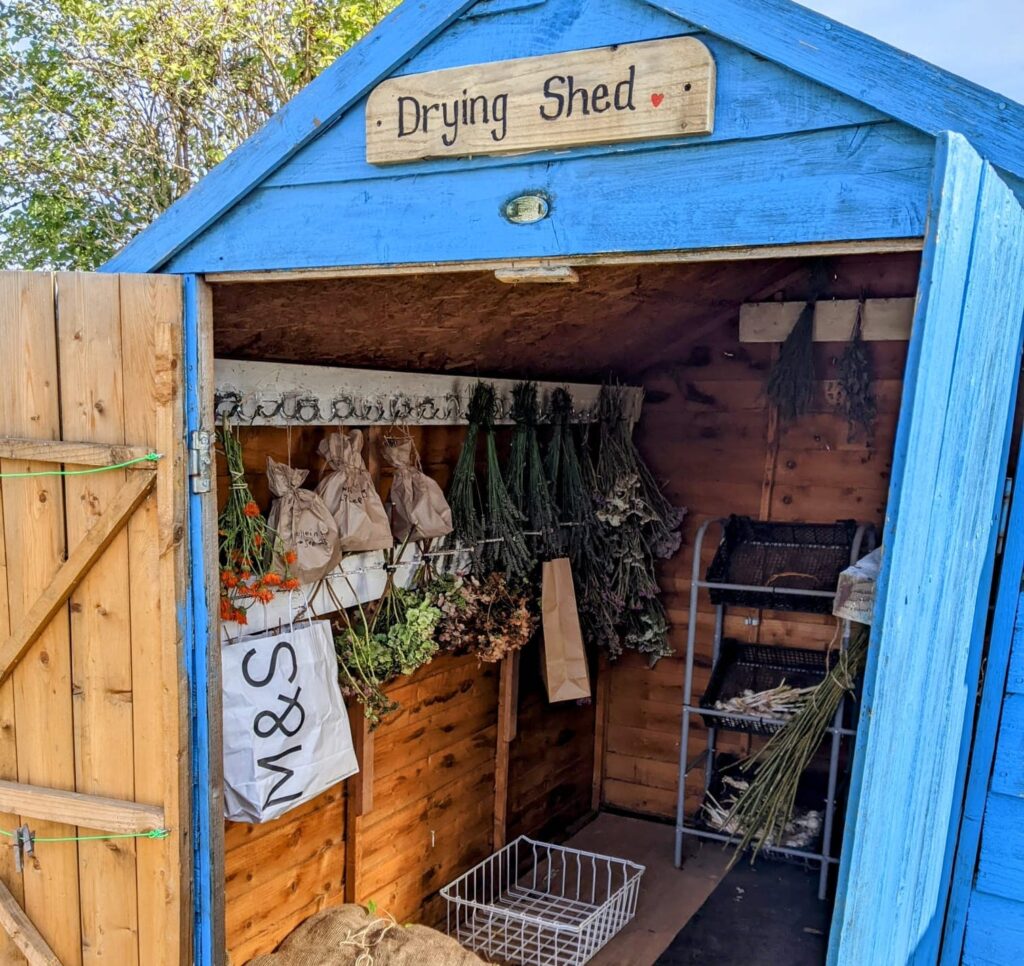 Shed for drying herbs, flowers and bulbs