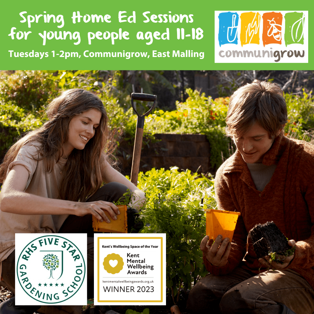 Spring Home Ed Sessions for Young People aged 11-18