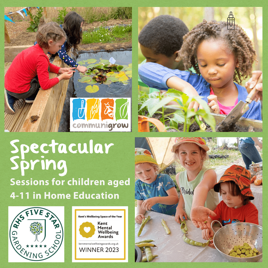 Spectacular Spring – Home Education Sessions ages 4-11