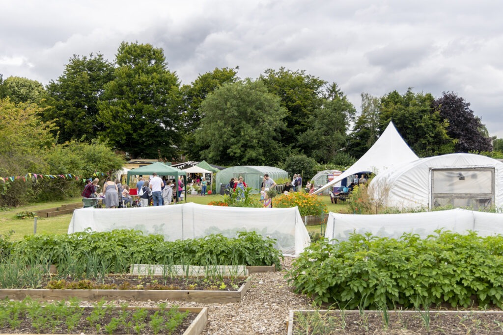 Open Day and raised beds