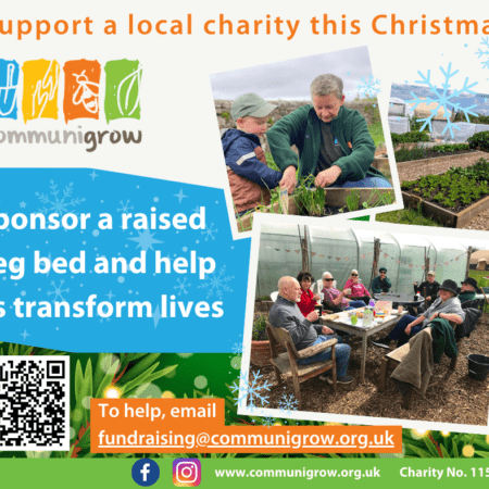 Sponsor a Raised Bed for £300