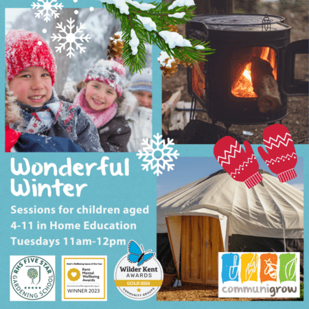 Wonderful Winter - Home Ed Sessions Ages 4-11, 11am